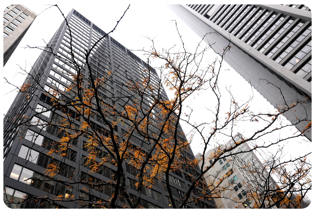 Slate Headquarters Chicago