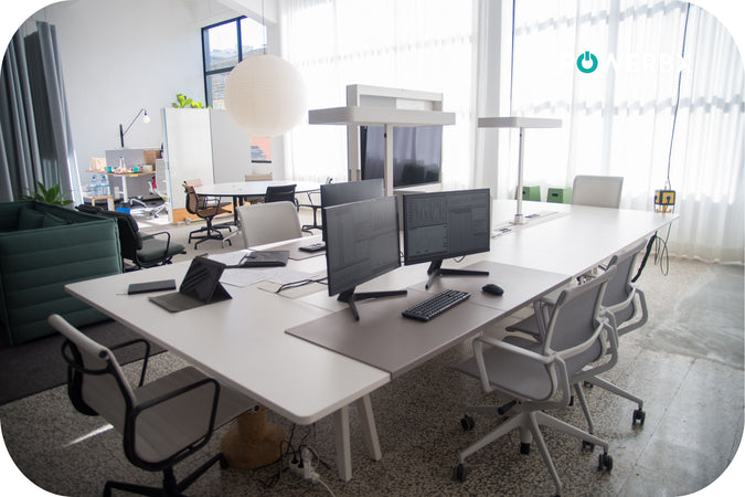 Sustainability in the Workplace: Green Practices in Flexible Workspaces