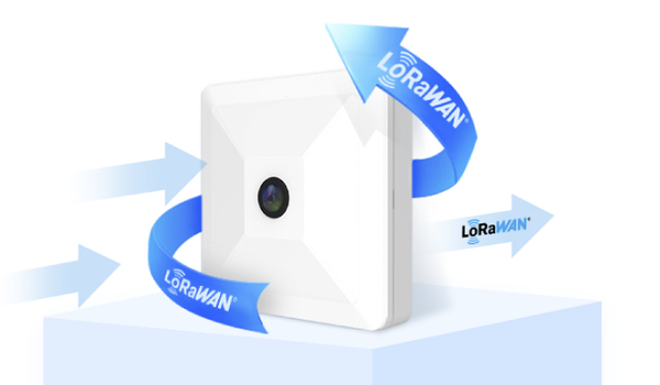 LoRaWAN® Wireless Deployment
